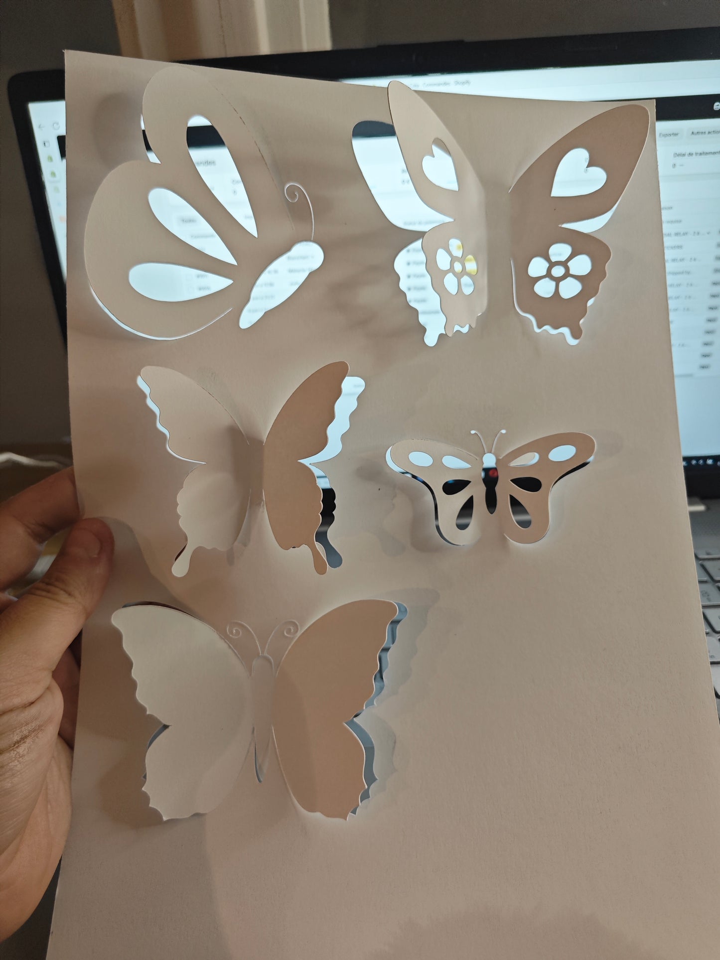 Papillon PopUp x31