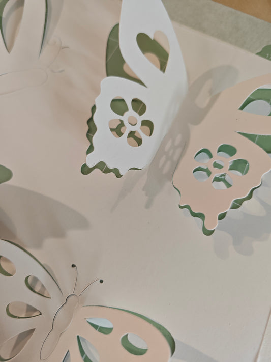 Papillon PopUp x31